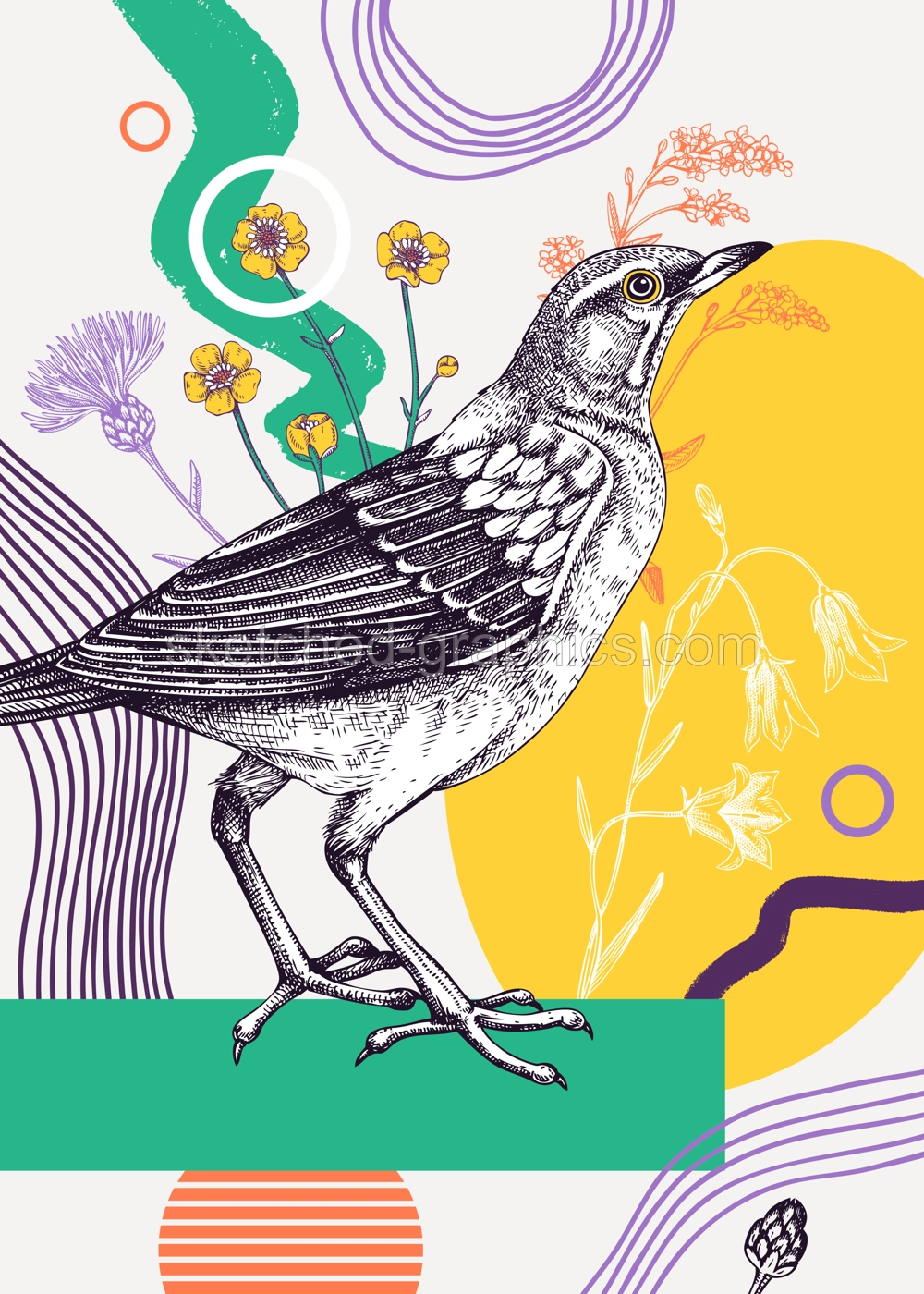 Collage-style bird card. Sketched eyebrowed thrush trendy poster. Creative designs with bird sketch, botanical illustrations, geometric shapes, and abstract element for nature print, wall art, poster Illustration